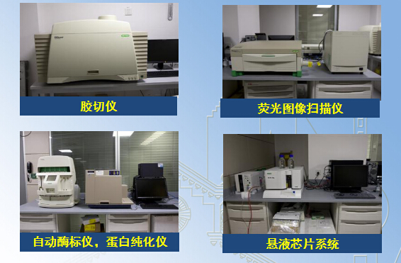 蛋白生物学技术单元