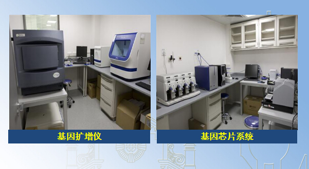 基因及分子生物学技