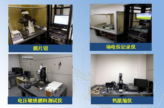 电生理及功能技术单元