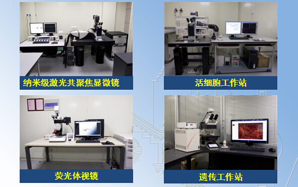 生物影像学技术单元